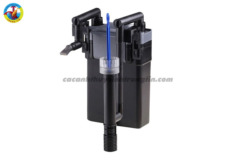 lọc thác cho bể nuôi cá thần tiên