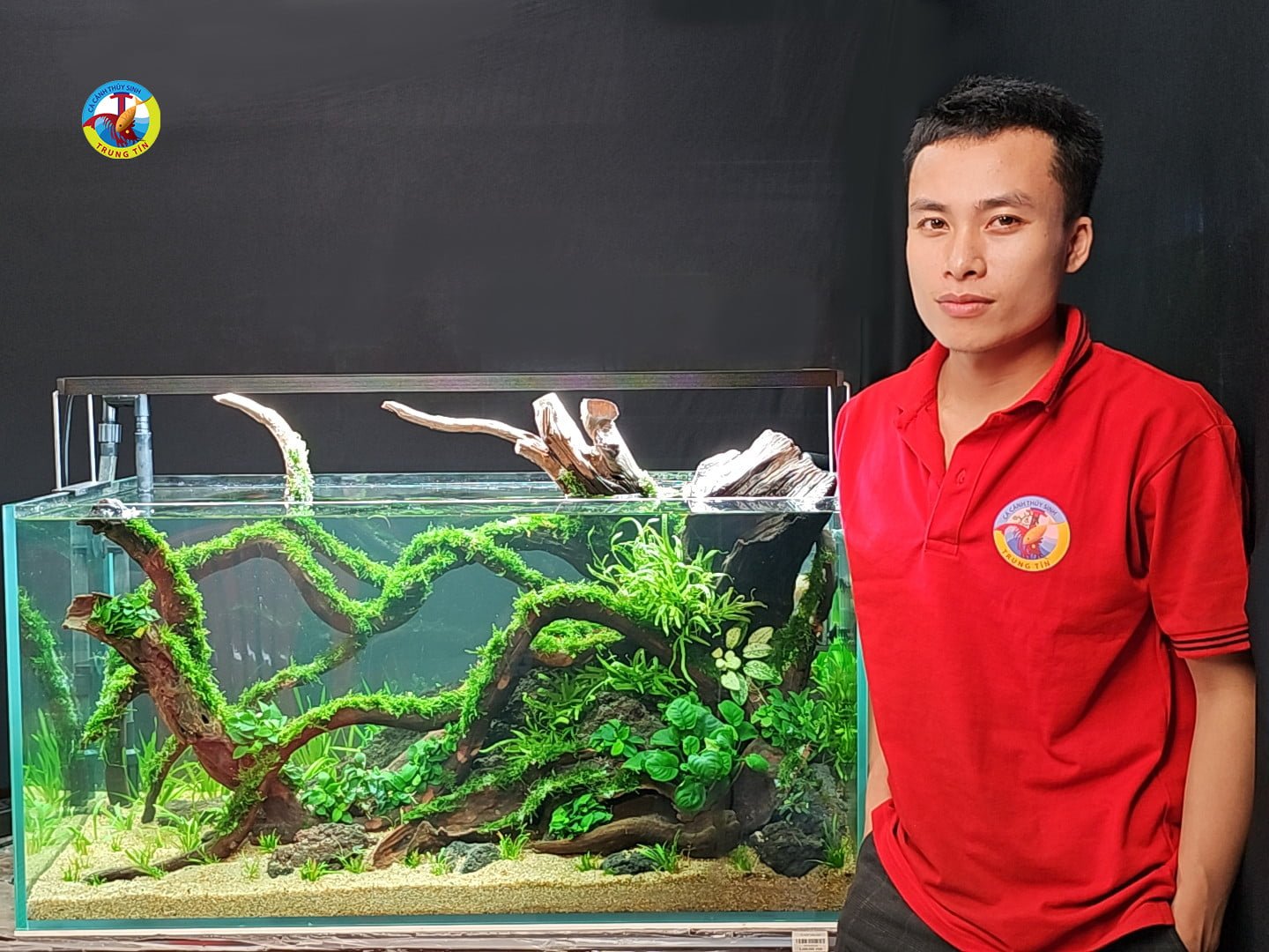 hồ thuỷ sinh combo