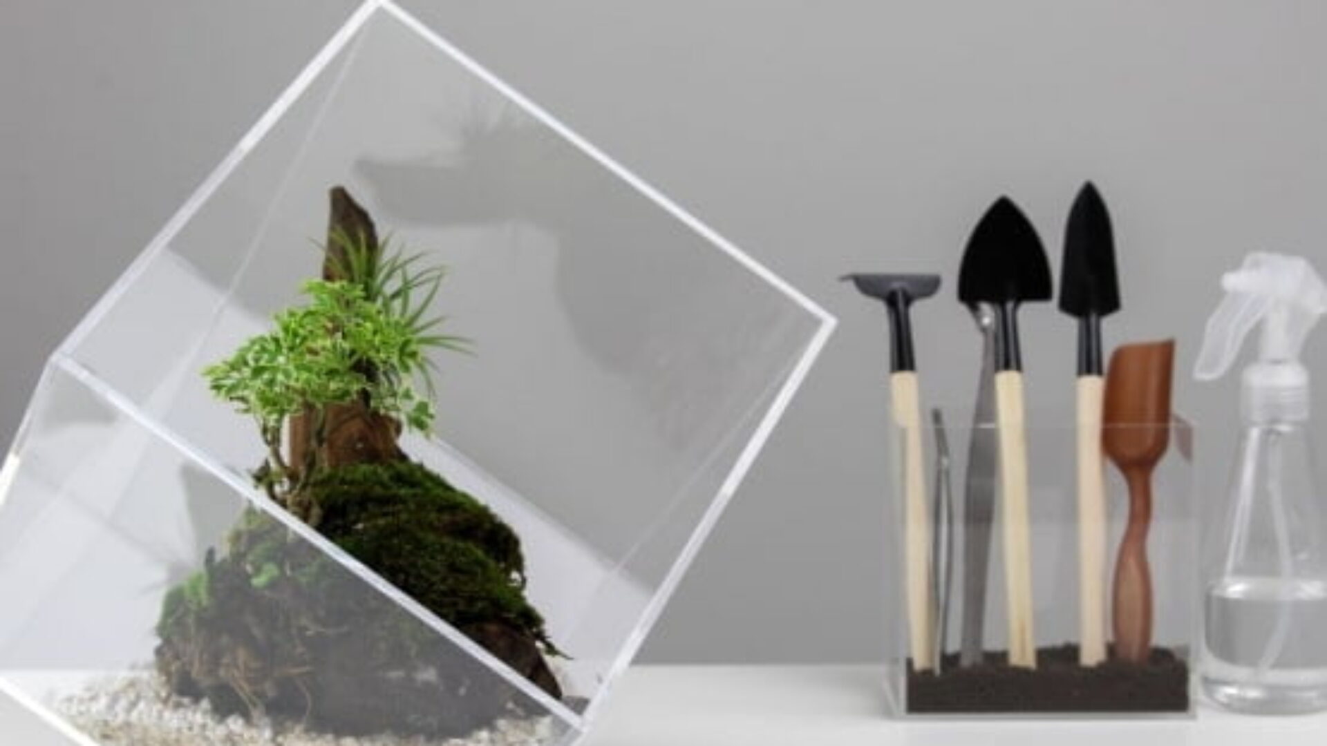 CACH LỰA CHỌN LOẠI CÁ CẢNH PHÙ HỢP VỚI PHONG THUỶ NHÀ BẠN?