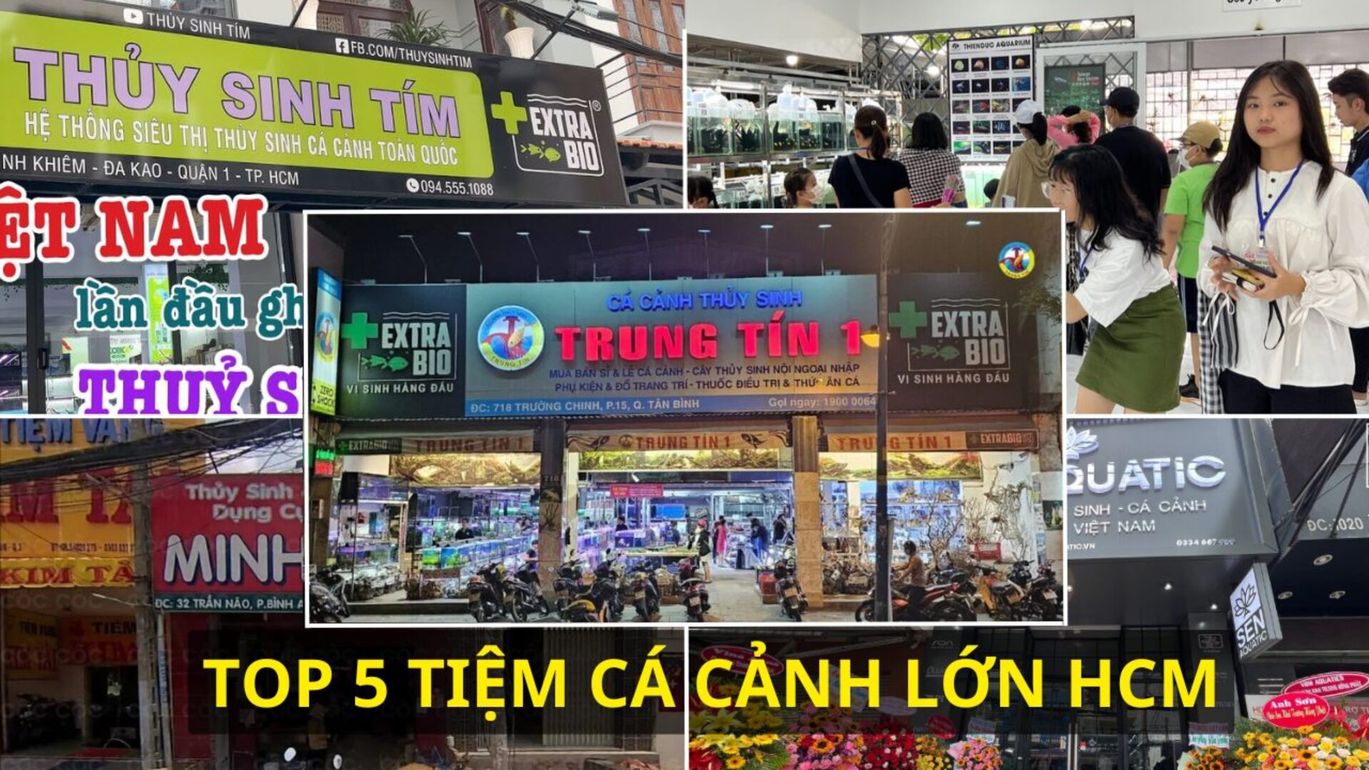 TOP 5 TIỆM CÁ CẢNH LỚN Ở SÀI GÒN