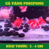ca-vang-pingpong