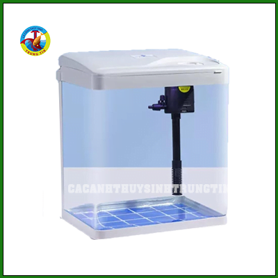 bể cá cảnh sobo 240f