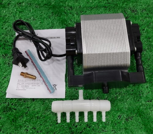 Phụ Kiện Bể Cá Hồ Cá Thủy Sinh