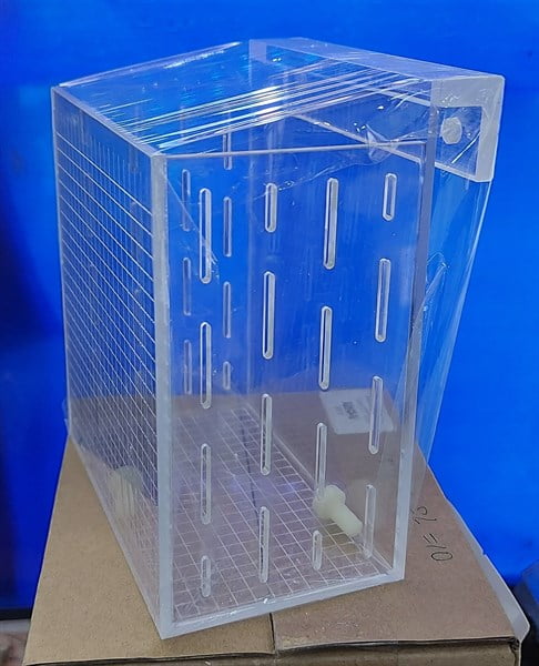 HỒ DƯỠNG TÉP 12x7x12cm 150.000