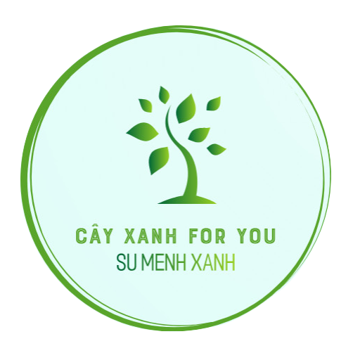 Cây Xanh For You