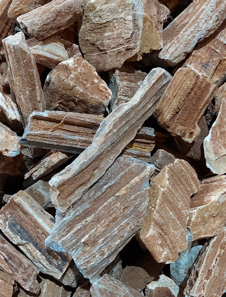 Đá gỗ hóa thạch đỏ