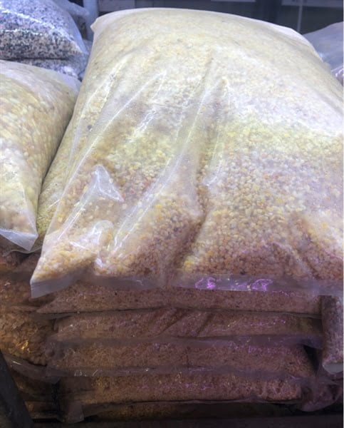 Sỏi bao vàng size S