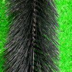 chổi lọc hồ cá