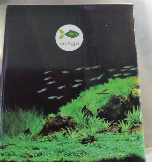 Cốt nền Aqua Vũ - 2 lít