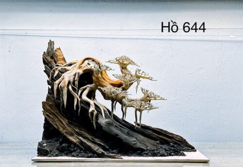 Layout Bonsai bám lũa 644