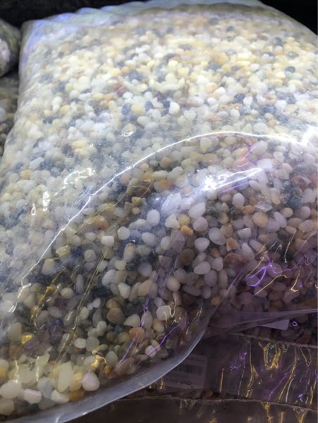 Sỏi Bao Hà Nội Size L