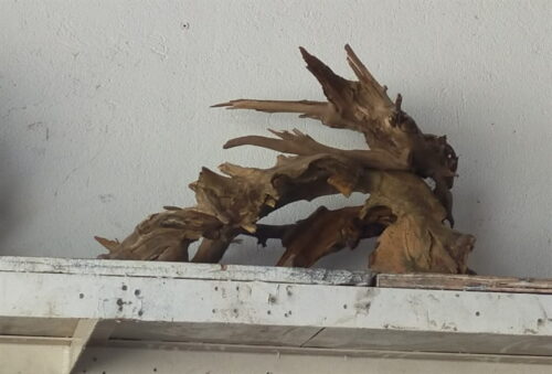 Layout không vách 50cm 1t500