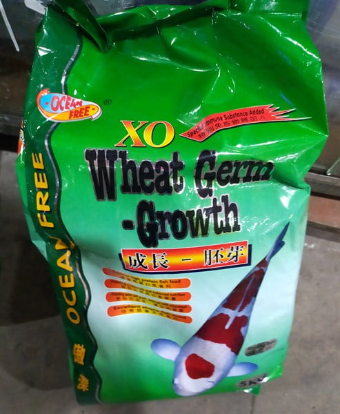 Thức ăn koi XO 5KG