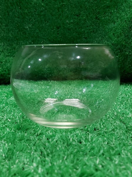 Hồ tròn T-01 - cái