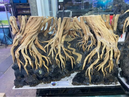 Layout rừng 60-30-36