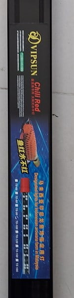 Led cá Rồng Vipsun 93cm - 2 hàng Hồng