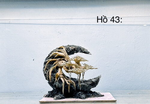 layout trang trí bể cá