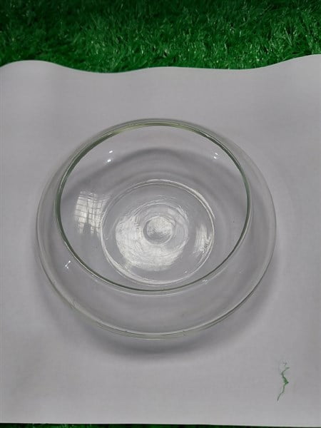 Bể Cá Tròn Để Bàn
