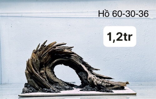 Layout natural 60-30-36