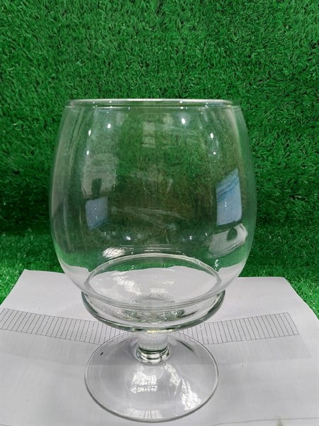 Ly Ngấn (LN) - Cái