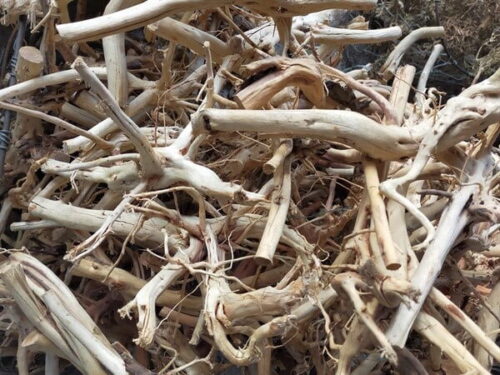 cách xử lý lũa thủy sinh bể cá