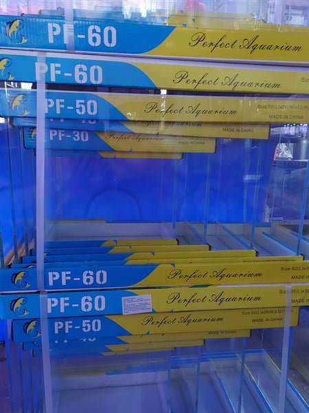 HỒ SIÊU TRONG 50x26x32cm