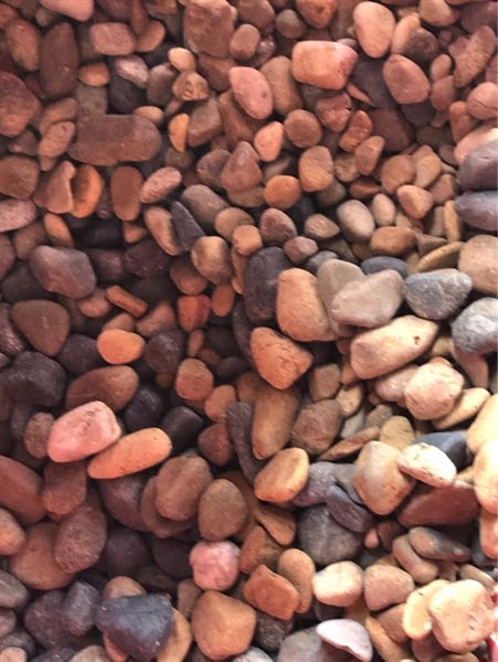 Sạn Biển 1kg - Bán lẻ