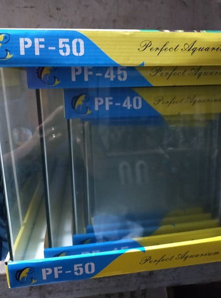 Hồ đúc thường 50X33X35cm