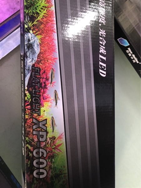 Đèn led máng Neo Helios XP-600