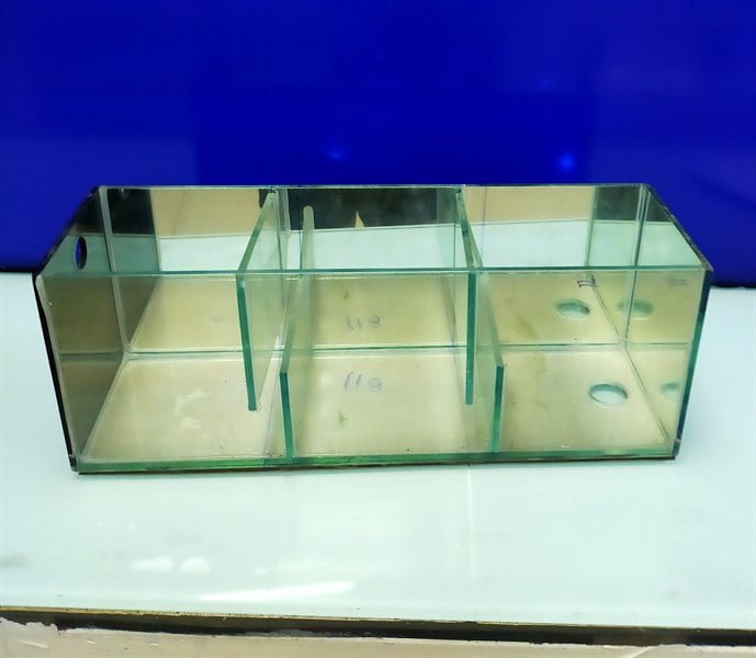 Lọc tràn hồ cá