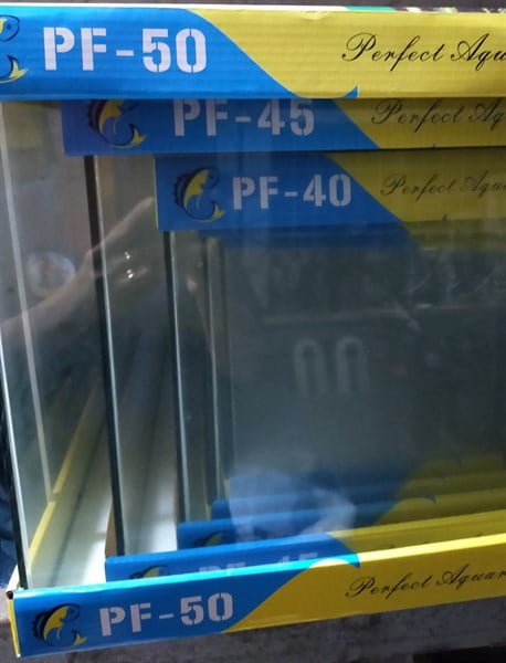 HỒ ĐÚC 35X20X23cm