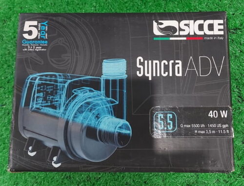 Máy Bơm Nước Hồ Cá  Syncra 5.5-40W