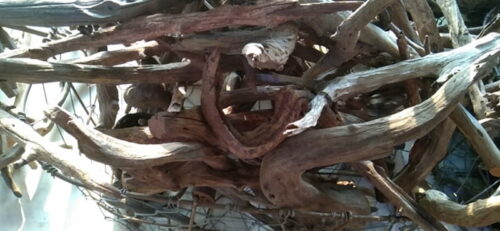 Lũa San Đá - Cành