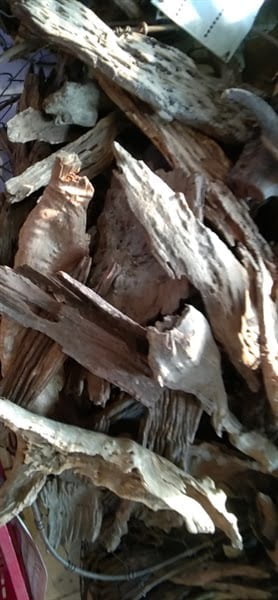 Lũa San Đá - Miếng