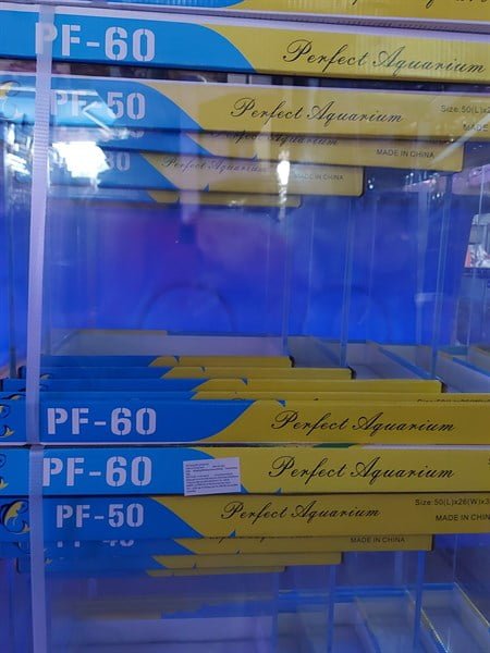 HỒ SIÊU TRONG 60x30x36cm