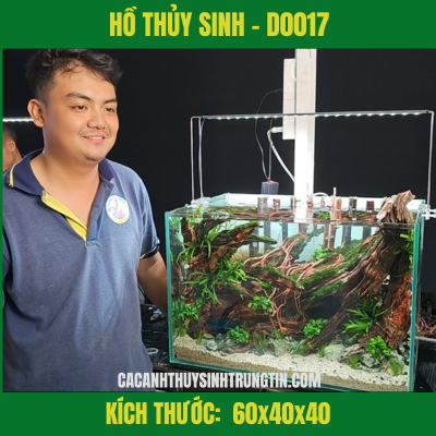 HỒ THỦY SINH - D0017