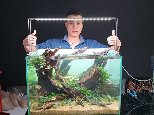 ho-thuy-sinh-60-40-45