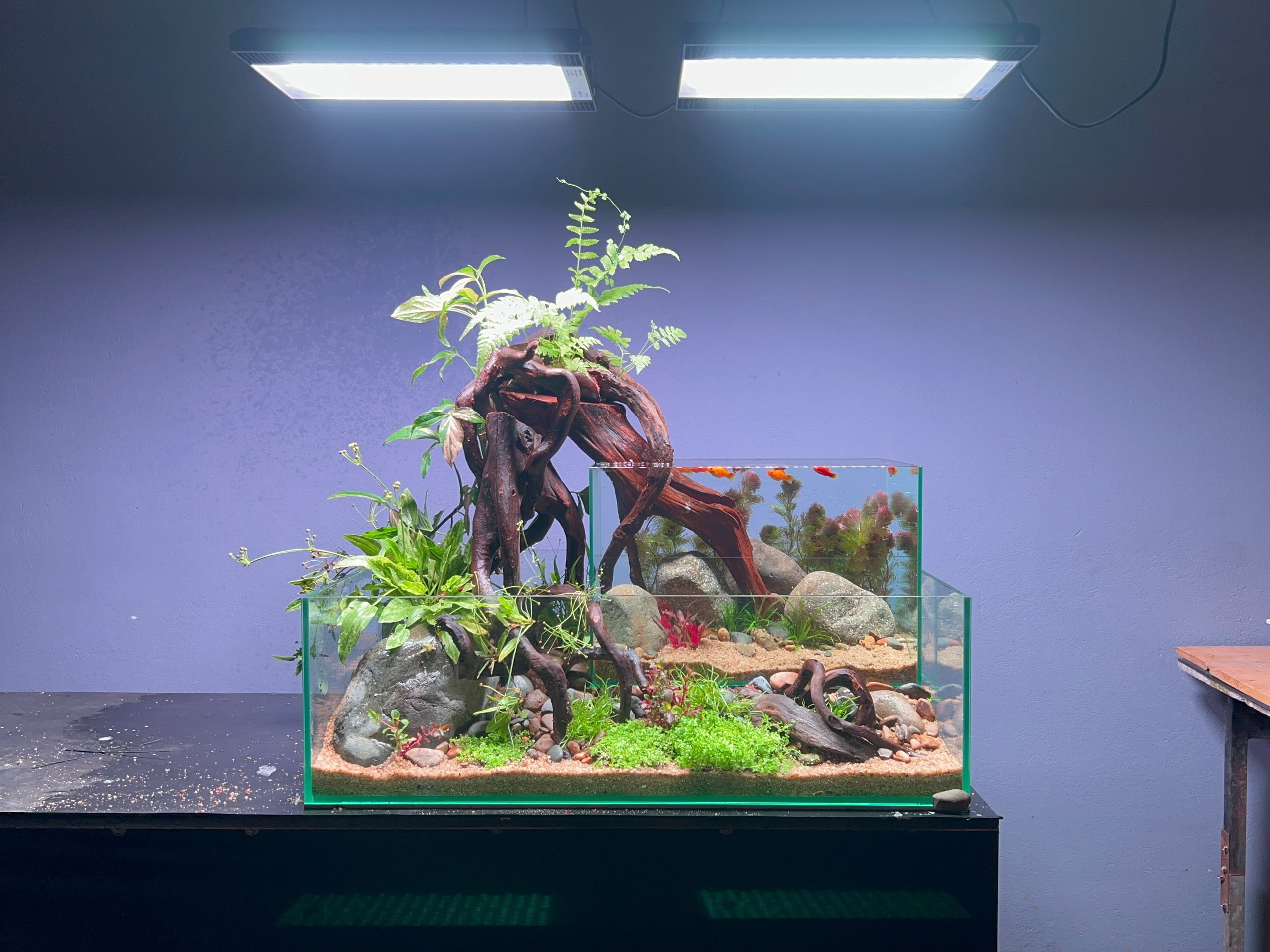 Hồ Setup Sẵn