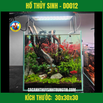 HỒ THỦY SINH - D0012