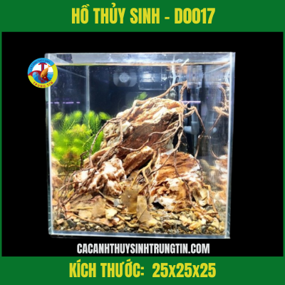 HỒ THỦY SINH - D0017 (1)