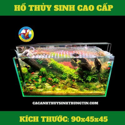 HỒ THỦY SINH CAO CẤP