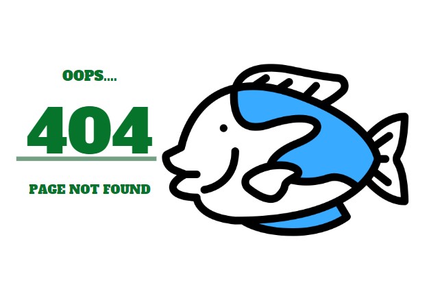 page not found