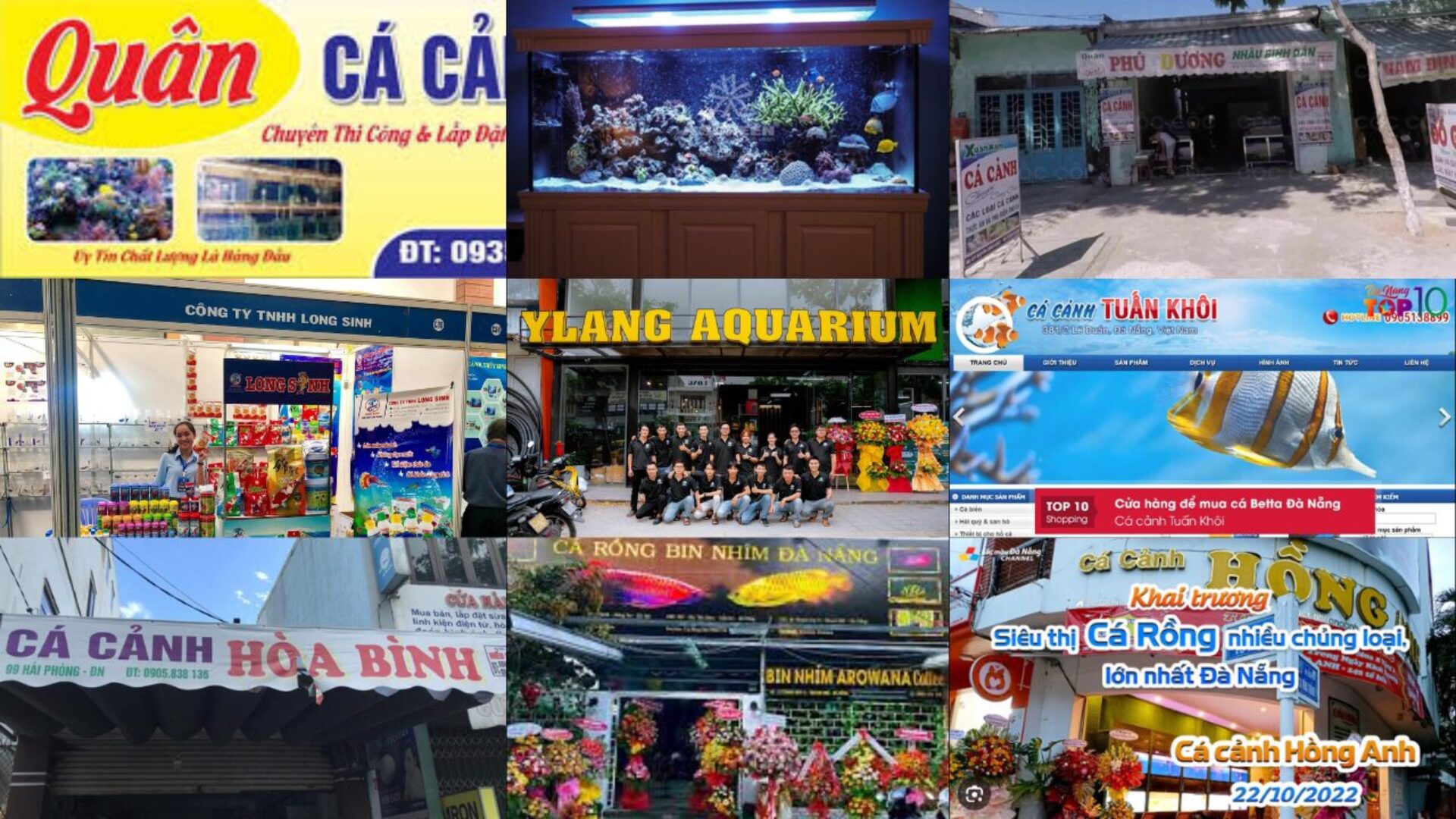 Danh Sách Tiệm Cá Cảnh Đà Nẵng Ở Gần Bạn.