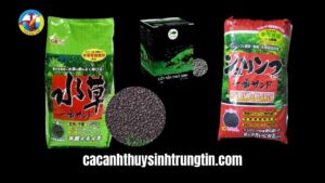 Cách chọn phân nền cho bể thủy sinh