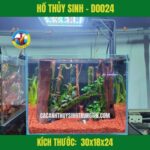 HỒ THỦY SINH - D0024