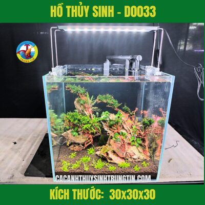 HỒ THỦY SINH - D0033