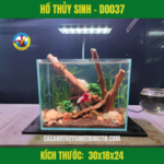 HỒ THỦY SINH - D0037