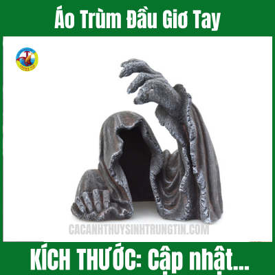 Áo Trùm Đầu Giơ Tay