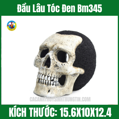 Đầu Lâu Tóc Đen Bm345