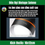 Đèn Rọi Biotope Selene